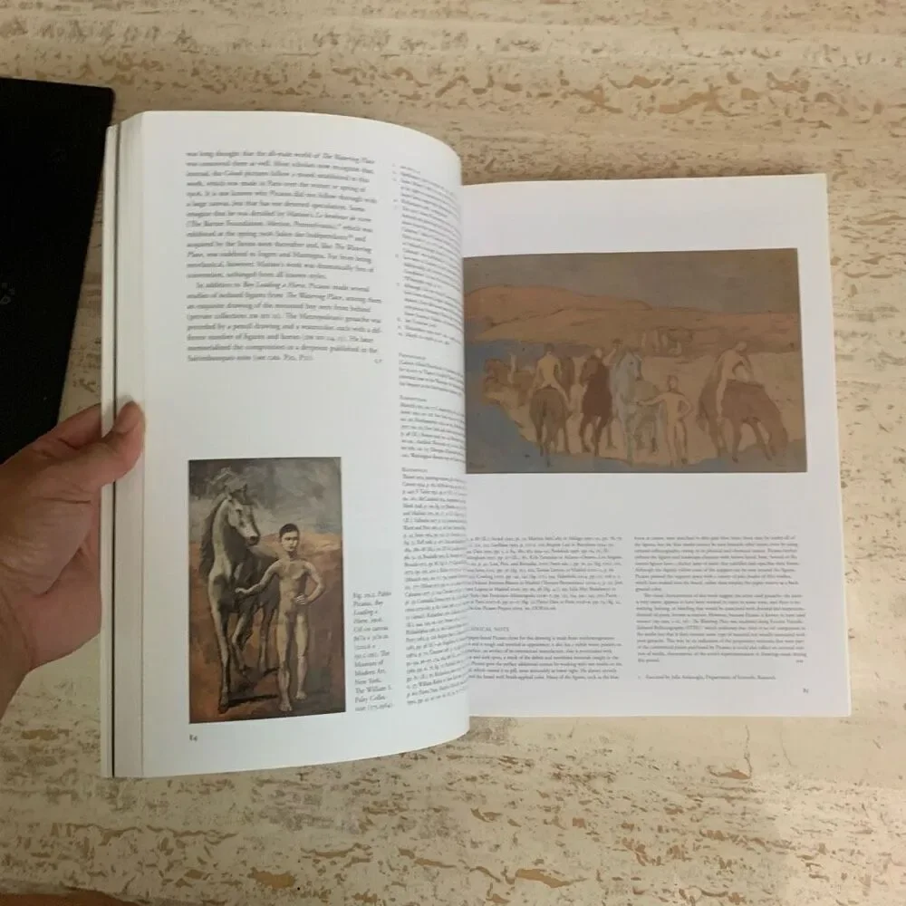 Picasso and the Metropolitan Musesum of Art